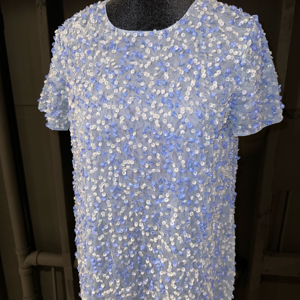 ASOS Blue and White Sequin Blouse